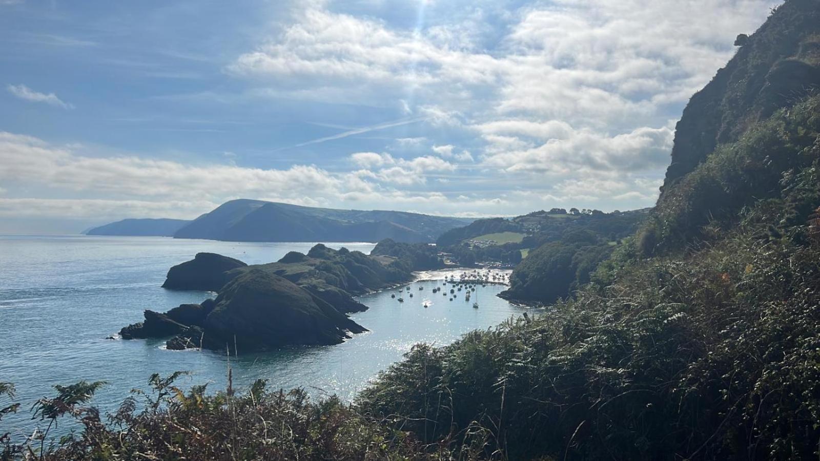 Newberry Wood Guesthouse Ilfracombe Dış mekan fotoğraf