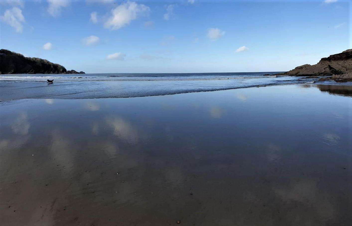Newberry Wood Guesthouse Ilfracombe Dış mekan fotoğraf