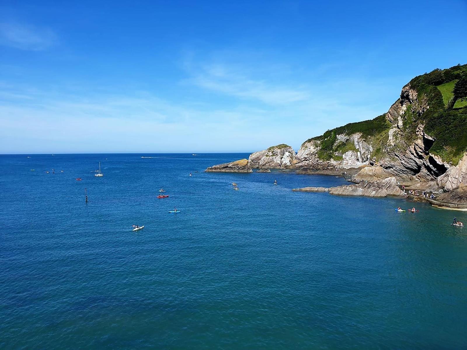 Newberry Wood Guesthouse Ilfracombe Dış mekan fotoğraf